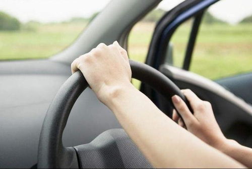 汽车细菌数量是多少 汽车细菌数量是多少