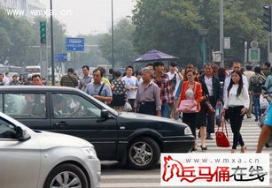 西安汽车被罚款多少