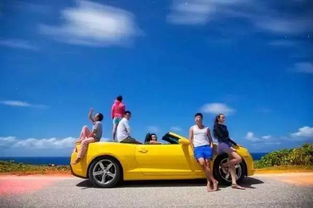 海岛上有多少汽车