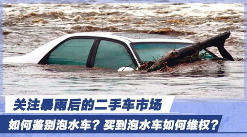 河南汽车泡水有多少