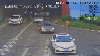 泉州汽车掉了多少辆