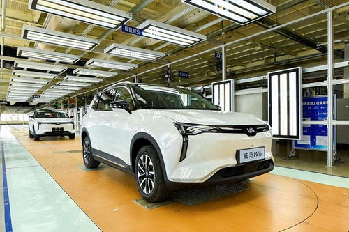 纯电汽车估价多少 纯电汽车估价多少