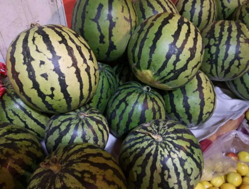 汽车水果装多少吨 汽车水果装多少吨