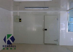 汽车冷库多少钱 汽车冷库多少钱