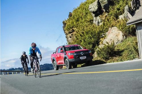 巴新汽车多少钱 巴新汽车多少钱