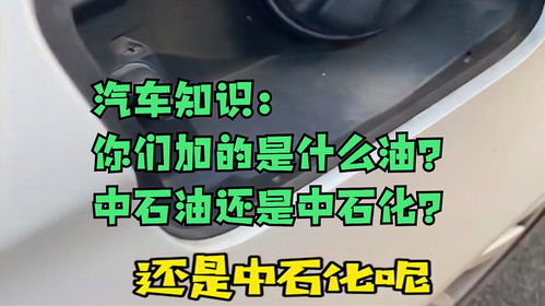 中石化汽车油耗多少 中石化汽车油耗多少