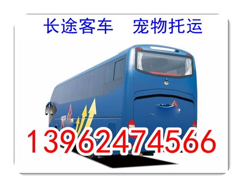 泰安汽车多少钱 泰安汽车多少钱