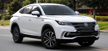 沈阳汽车知识费用多少 沈阳汽车知识费用多少