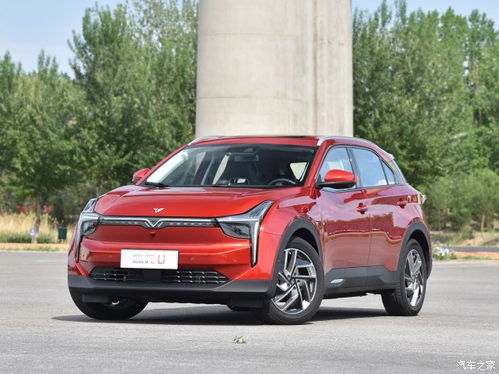 哪吒U汽车售价多少