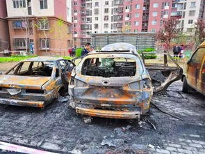 汽车自燃比亚迪赔偿多少