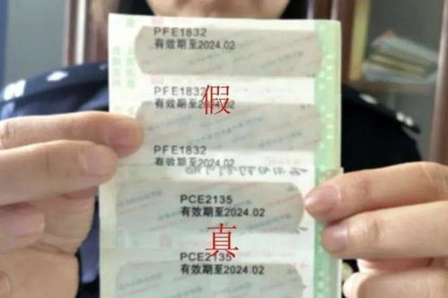 德州汽车审验报价多少