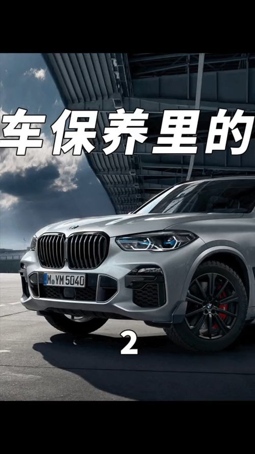 全国汽车有多少种