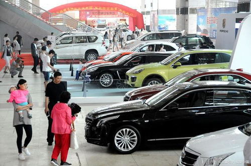 台州汽车人均多少辆