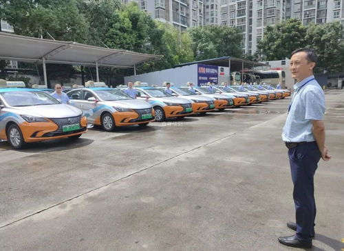 绵阳能源汽车有多少 绵阳能源汽车有多少