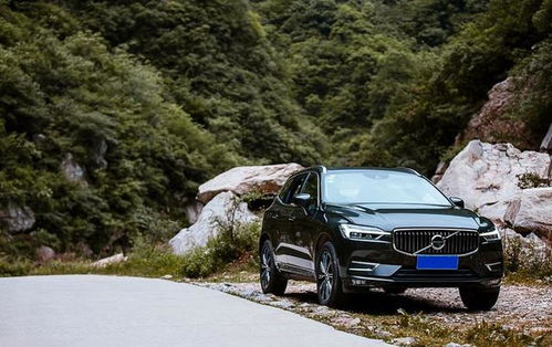 汽车伤亡率是多少