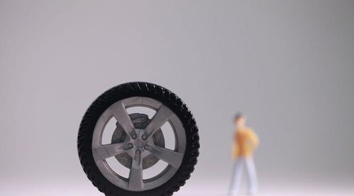 汽车胎花多少合适 汽车胎花多少合适