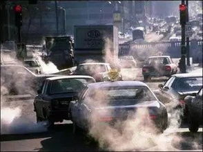 汽车的尾气多少米 汽车的尾气多少米