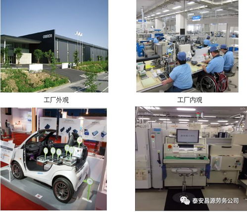 汽车运用整形工资多少