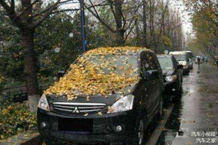 汽车做漆贬值多少