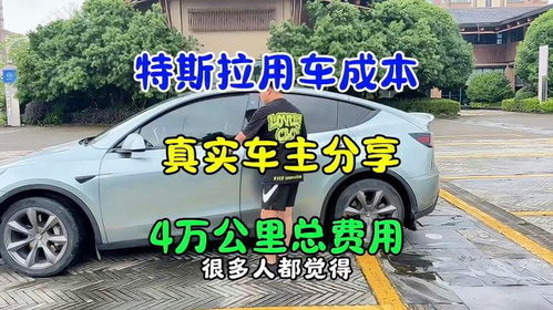 新车汽车保险多少