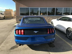 汽车评测多少钱