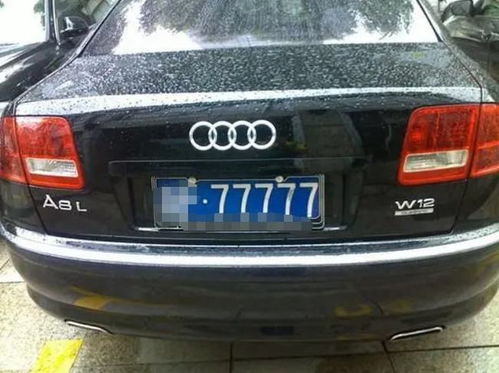 汽车牌照多少组合