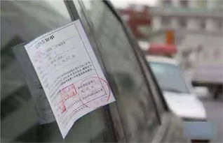 汽车 20元罚款多少