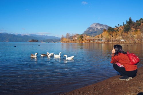 大理到丽江汽车多少