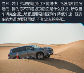 阿联酋汽车进口数量多少