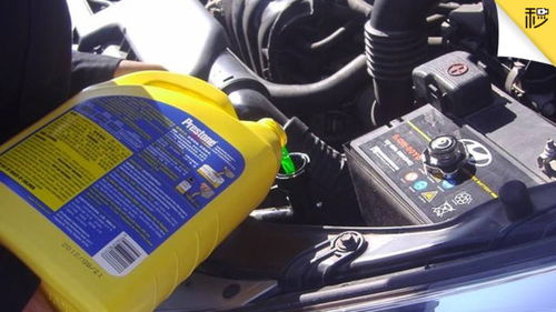 汽车冷冻液买多少