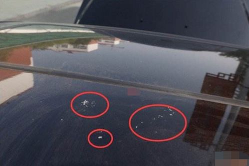 汽车暴晒危害多少温度 汽车暴晒危害多少温度