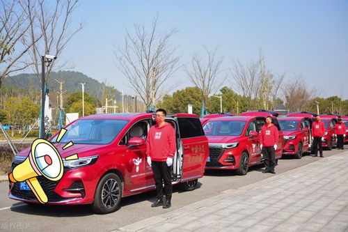 男足汽车报价多少