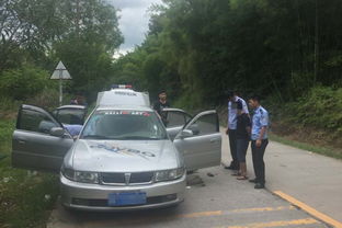 汽车里有多少毒品