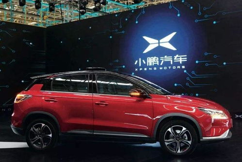 小鹏汽车损耗多少