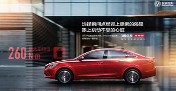 蓝鲸汽车价位多少