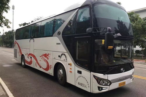 洞头汽车多少钱