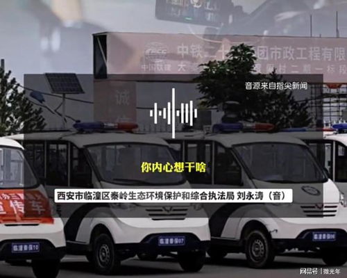 临潼有多少辆汽车 临潼有多少辆汽车