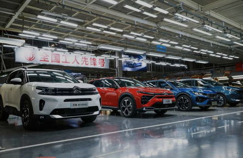 神龙汽车价格多少