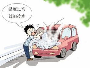 汽车高度多少最危险