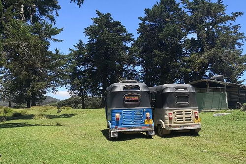 斯里兰卡汽车多少钱 斯里兰卡汽车多少钱