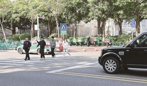 2023全厦门多少汽车