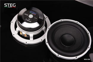 汽车大喇叭多少寸