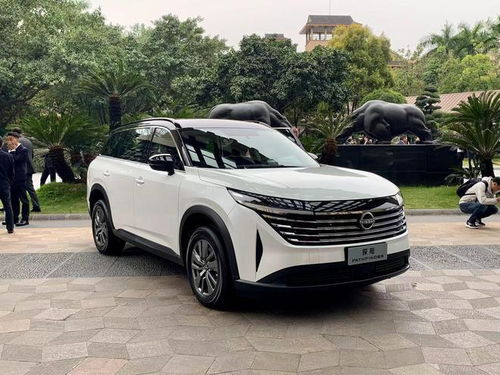 探风汽车多少钱 探风汽车多少钱