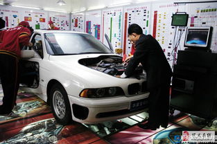 汽车培训学校费用多少