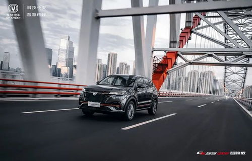 汽车最多有多少t 汽车最多有多少t