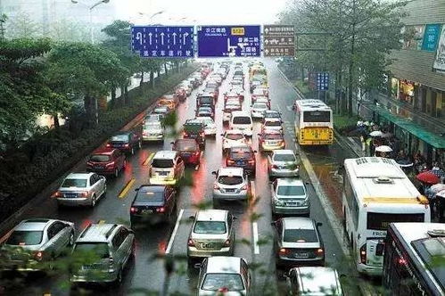 佛山汽车增长多少