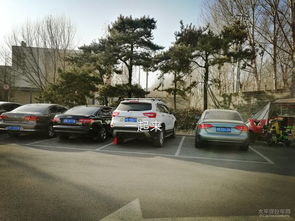 西藏汽车团多少台车