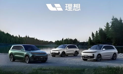 成都理想汽车补贴多少