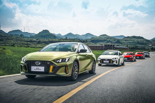 影豹汽车多少匹