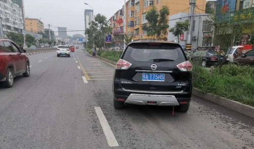 晋城汽车有多少辆 晋城汽车有多少辆